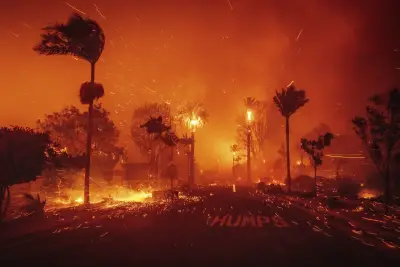 Brushing Aside Homeowners’ Red-Tape Nightmares, Gavin Newsom Blames Feds, Trump for Slow Recovery From California Wildfires